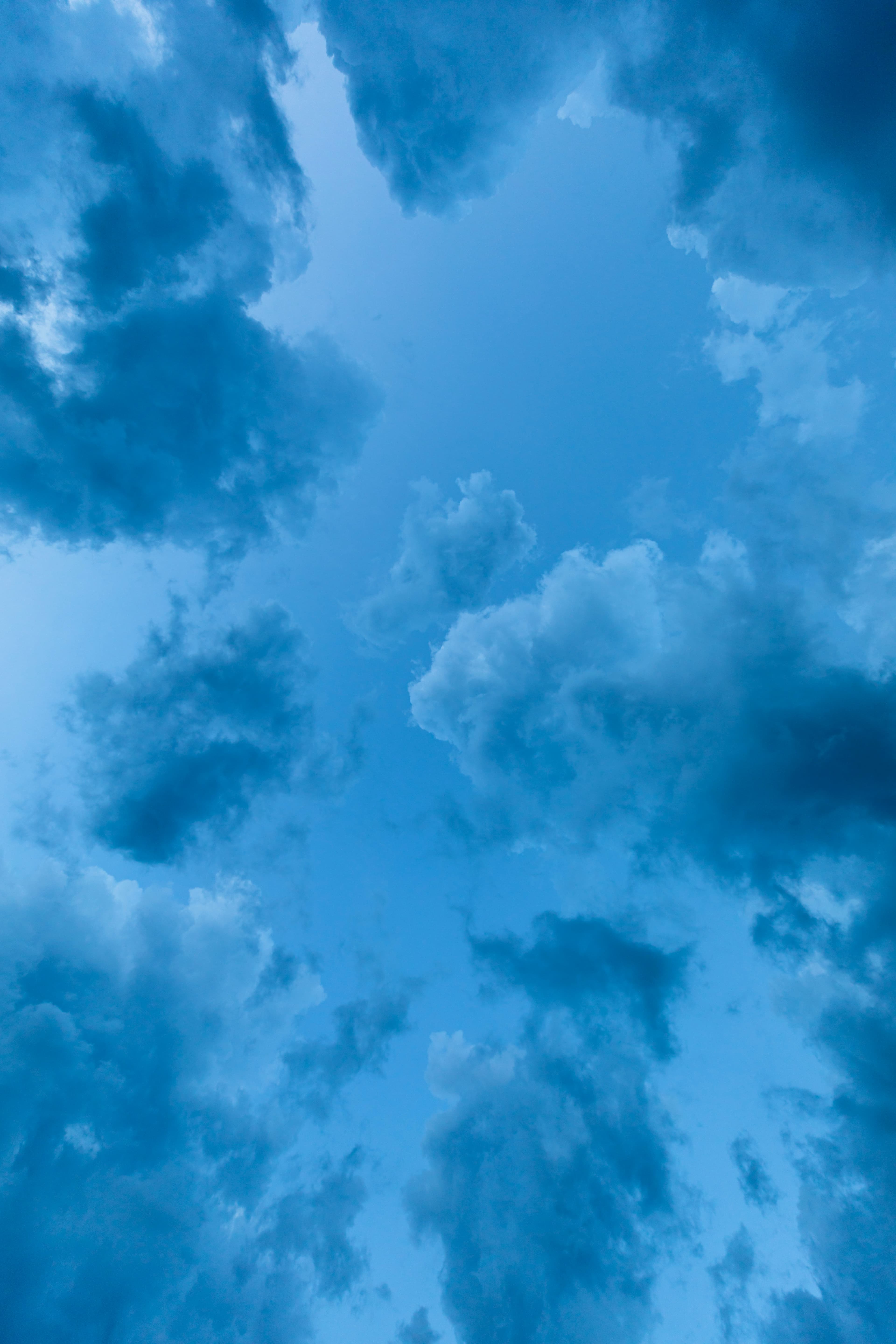 Full-Stack / Web Applications